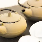 博蒂卡斯艺术和spa酒店 4*