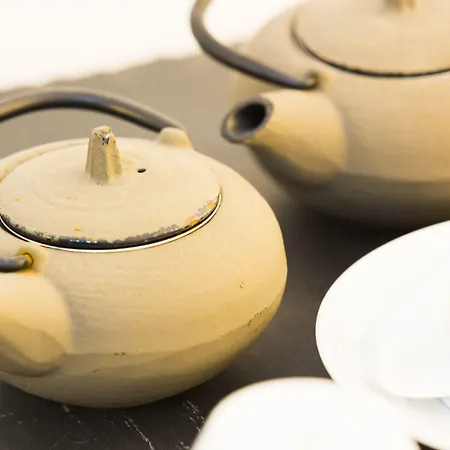 博蒂卡斯艺术和spa酒店 4*