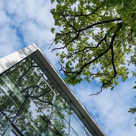 博蒂卡斯艺术和spa酒店 酒店 博蒂卡什