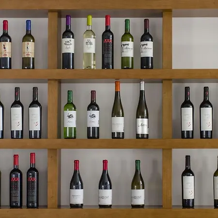 博蒂卡斯艺术和spa酒店 博蒂卡什