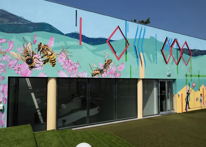 博蒂卡斯艺术和spa酒店 4* 博蒂卡什