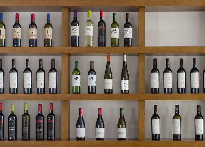 博蒂卡斯艺术和spa酒店 博蒂卡什